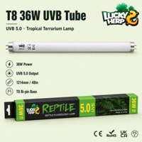LuckyHerp T8 36W UVB5.0 Lampe UVB Spirale Classique en Verre pour Reptiles Écologique Intérieur Toutes Saisons 48in JX-FL8T3605
