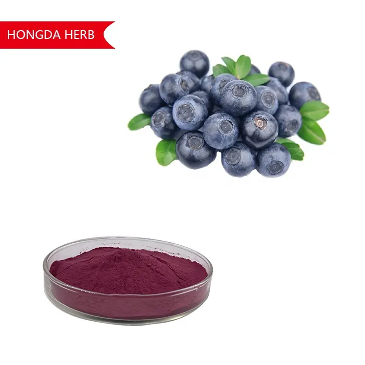 HONGDA 5% 25% Anthocyanins Blueberry Extract Powder Food Supplement