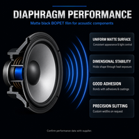 Film BOPET Noir Mat 36μm (B403D) - Film Mat Sans Halogène Certifié SGS RoHS pour Diaphragmes de Haut-Parleurs et Pièces Acoustiques