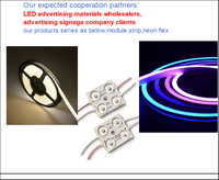 Module publicitaire LED B2B, source directe usine, options blanc chaud et bleu, étanche IP68, garantie 5 ans