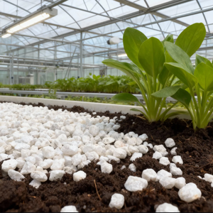 <span class=keywords><strong>Perlite</strong></span> isolante pour construction-Matériau de remplissage léger résistant au feu - Product Image 3