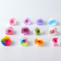 AYOYO OEM Yunnan un grade préservé 4-5 cm têtes de Rose arc-en-ciel pour toujours Rose fleurs immortelles en gros