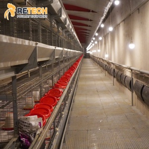 Tự động pullet gà lồng nâng cao hệ thống gia cầm trang trại thiết bị cho nhỏ gà lớn trang trại - Product Image 3