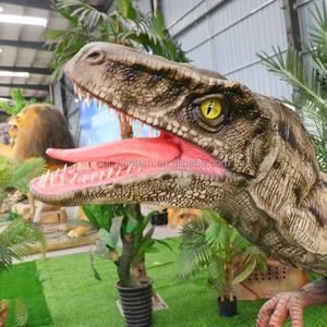 250611 Dinosaurios Expo Attractions de dinosaures mécaniques animatroniques Velociraptor grandeur nature - Product Image 2