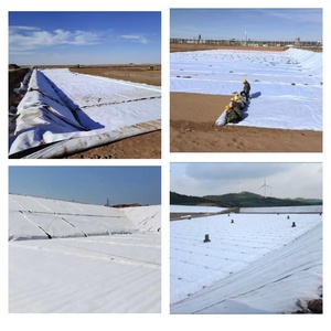 Géotextile composite imperméable pour la restauration paysagère des lacs et des rivières, la construction <span class=keywords><strong>de</strong></span> tunnels et la collecte des eaux <span class=keywords><strong>de</strong></span> <span class=keywords><strong>pluie</strong></span> - Membrane géotextile composite - Product Image 5