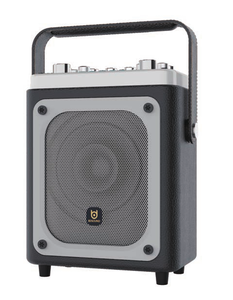 Haut-parleur portable coaxial sans fil BD-H0691 de 6,5 pouces avec poignée |   pour 5.3 |   Son à gamme complète |   Sortie 100-300W |   Armoire en <span class=keywords><strong>bois</strong></span> - Product Image 1