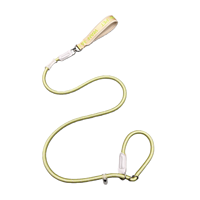 Laisse anti-traction brusque pour chien, type corde en P, en nylon, avec boucle alphabet, pour chiens de petite et moyenne taille, entraînement et promenade