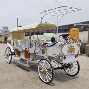 Electric Sightseeing Carriage White Simple Classic Wedding Decoration Multi-occasion Sightseeing Carriage Sells Well - Product Image 6