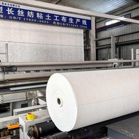 Géotextile non tissé en filament haute résistance PP PET pour la stabilisation des sols, le renforcement des sous-sols et la construction routière