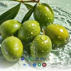 Suplemento antioxidante <span class=keywords><strong>de</strong></span> hierbas chinas en stock: Cápsulas <span class=keywords><strong>de</strong></span> espermidina, ginsenosido, extracto <span class=keywords><strong>de</strong></span> olivo, PQQ y dihidroquercetina - Product Image 4