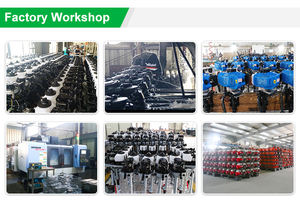 爱奇迪T9.8 9.8马力高性能舷外马达2冲程长轴船发动机待售 - Product Image 6