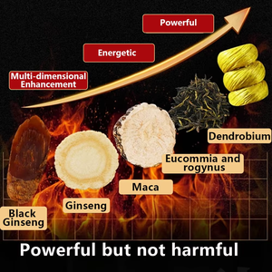 Tisane aux herbes pour hommes OEM avec Ginseng, Maca, Ganoderma – Soutien naturel pour l'énergie et la vitalité – 12 sachets - Product Image 5