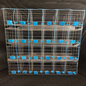Jaula industrial para conejos, jaula industrial de 9/células para cría comercial 12/24, granja, carne y conejo, en venta - Product Image 1