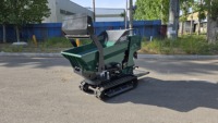 Mini-Dumper Raupenlader Robust Langlebig Kraftstoffsparend Briggs&Stratton Vanguard Motor Eaton Hydraulikpumpe Hohe Nutzlast