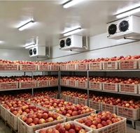 Chambre froide modulaire (positive/négative) pour fruits et viandes