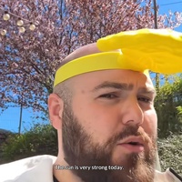 Nouveauté : Visière solaire fantaisie en forme de palmier et chapeau de soleil – Accessoire d'été pour la protection UV en extérieur