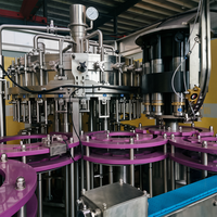 Machine de remplissage automatique de boissons gazeuses en bouteille de verre 3 en 1 monobloc pour eau gazeuse et jus pétillant