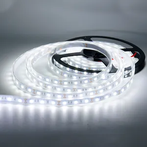 새로운 디자인 도매 핫 세일 IP65 방수 120leds/m DC 12V Led 라이트 스트립