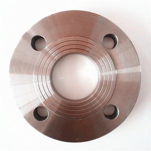 Bridas forjadas accesorios de tubería de acero inoxidable ASTM A105n/F304L/F316L - Product Image 5