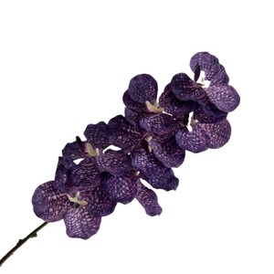 Fleur artificielle d'orchidée Vanda Secret Garden 80cm, hydratante, pour décoration de mariage et de maison - Product Image 5