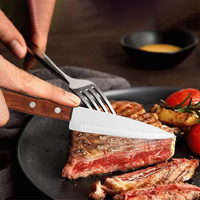 Couteau de cuisine classique en acier inoxydable écologique de haute qualité, ensemble de 2 pièces, manche en bois massif, couteau à découper la viande du chef