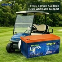 Batterie LiFePO4 à décharge profonde haute performance 48V 300AH pour voiturette de golf avec Bluetooth et connecteur Anderson, 6000+ cycles, CE RoHS IP67, OEM/ODM, garantie 10 ans