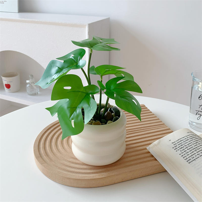 ใบเต่า + ขวดทรงกลม