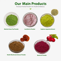 Gefreeze-droogd frambozenpoeder, natuurlijk fruitpoeder, frambozen-sappoeder voor dranken, bakkerij, desserts en supplementen