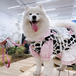 Falda de Encaje para Perros, Primavera-Verano, Delgada, para Perros Medianos y Grandes, Linda Ropa para Perros y Gatos, <span class=keywords><strong>Samoyed</strong></span>, Anti-Caída de Pelo - Product Image 4
