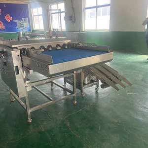 Maquinaria de procesamiento de huevos de producción de alto volumen Gran capacidad y diseño eficiente para piezas de procesamiento de alimentos - Product Image 4