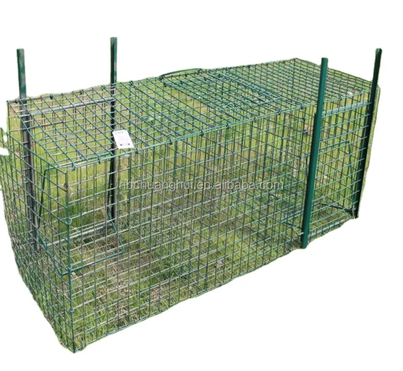 Larsen Magpie Trap pieghevole in acciaio zincato Pest Bird Cage Trap Animal Live Trap