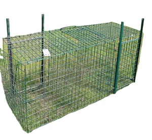Larsen Magpie Trap pieghevole in acciaio zincato Pest Bird Cage Trap Animal Live Trap - Product Image 1
