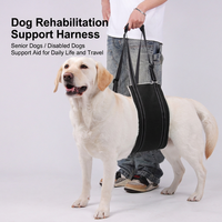 Ceinture recuperation reglable harnais assistance pattes arrieres mobilite antidrapante nylon chiens ages handicapes