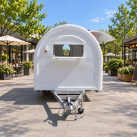 Camion de Kebab Entièrement Équipé, Taille Personnalisée pour l'Europe, Chariot de Vente Ambulant pour Bubble Tea, Café, Hot-Dogs, Remorque Alimentaire