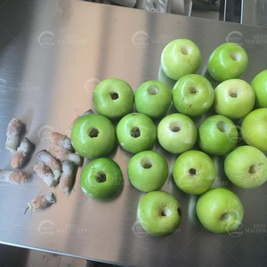 آلة إزالة حفرة البرقوق ، مزيل أحجار البرقوق ، شبه آلي ، صلب مقاوم للصدأ ، 2.6 كيلو وات ، مزيل بذور الفاكهة - Product Image 5