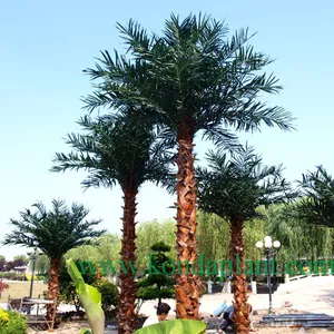 Ngoài trời tổng hợp coco palm trees cây dừa với nhựa trái cây - Product Image 1