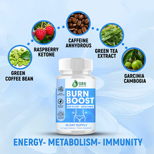 Cápsulas quemagrasas al por mayor con té verde que impulsa el metabolismo y libera la grasa almacenada para un antioxidante natural óptimo de 30 días - Product Image 3