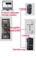Haute qualité 1 en 2 sorties 1000W 2000W classe d affichage numérique puissance audio module amplificateur de haut-parleur actif DSP300DT avec DSP