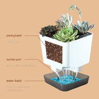 Pot de fleurs auto-arrosant pour plantes succulentes, pot de fleurs d'intérieur et d'extérieur avec trou de drainage, soucoupe transparente, réservoir, moderne et décoratif