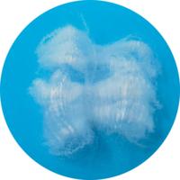 Fibre de polyester Bosilun 4.5D 102mm pour le filage