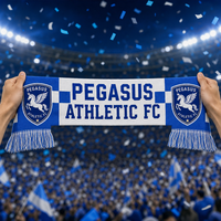 Écharpe de supporter personnalisée en polyester, imprimée par transfert thermique haute définition, pour événements sportifs