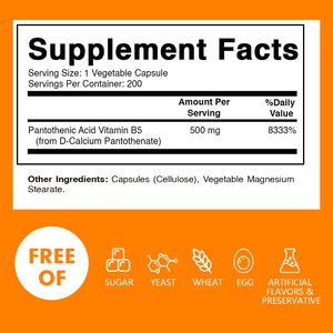 Complément alimentaire Acide pantothénique en capsules avec 500 mg de vitamine B5 pour un système nerveux sain - Product Image 6