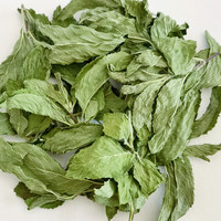 Thé aux herbes naturelles, feuilles de menthe, épices sauvages saines séchées, herbes, menthe verte séchée, thé aux feuilles de menthe
