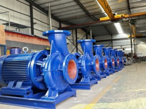 ปั๊มหอยโข่งเหล็กหล่อสแตนเลส 316 รุ่น MS SH 160 กิโลวัตต์ 3/4 แรงม้า - Product Image 6