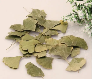 Nhà máy cung cấp bán buôn số lượng lớn <span class=keywords><strong>Ginkgo</strong></span> <span class=keywords><strong>Biloba</strong></span> chiết xuất <span class=keywords><strong>Ginkgo</strong></span> lá chiết xuất bột 24/6 - Product Image 6