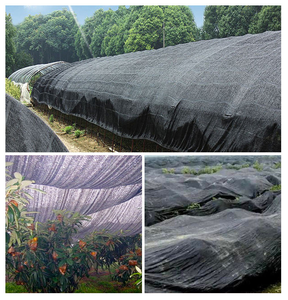 HDPE dù để che nắng <span class=keywords><strong>Net</strong></span> UV bảo vệ paranet bóng ngoài trời nông nghiệp - Product Image 6