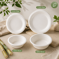 Assiettes et bols jetables écologiques compostables en bagasse de canne à sucre 6/7 pouces 350ml-1000ml, carton de 1000 pièces pour fêtes