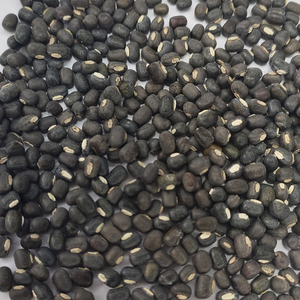 ถั่วดำขายส่ง <span class=keywords><strong>urad</strong></span> Mung beans กรัมสีดำ - Product Image 2
