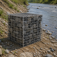 Mur de soutènement en gabions en fil de fer galvanisé pour jardin, patio, allée, cour, aménagement paysager – Tailles personnalisées