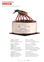 Transformateur toroïdal robuste 3KW 5KW 10KW pour onduleur à onde sinusoïdale pure monophasé pour système solaire et UPS